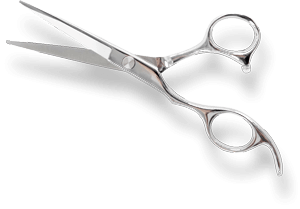 Scissor